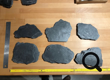Laser Gravur Böhm in Bonn - Geschenkideen mit Gravuren auf Holz, Glas, Leder, Metall, Acryl Plexiglas , Armbänder, Papier, Anhänger, Schilder ... für Privat und Geschäftskunden und  Firmen. Kunden kommen aus Bonn, Köln, Siebengebirge, Frechen, und ganz NRW, Deutschland, Schweiz und der Welt